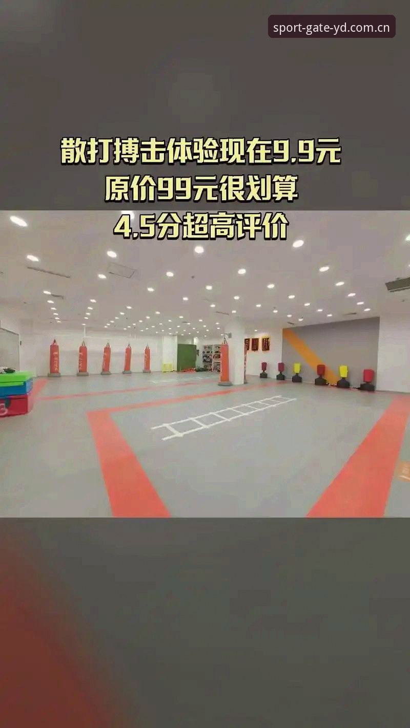亿德体育平台2026更新内容深度对比：旧版vs新版，哪些改变值得关注？